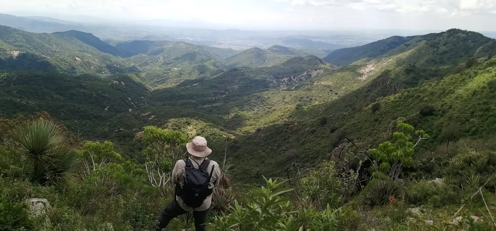 The green mountains of Los Picachos